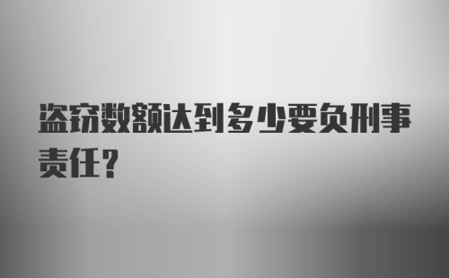 盗窃数额达到多少要负刑事责任？