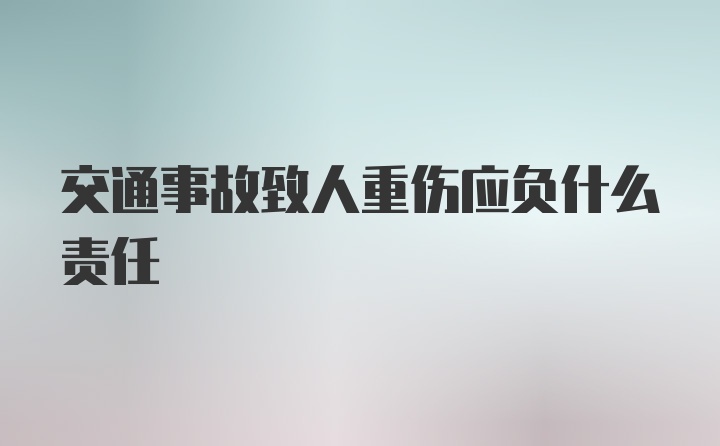 交通事故致人重伤应负什么责任