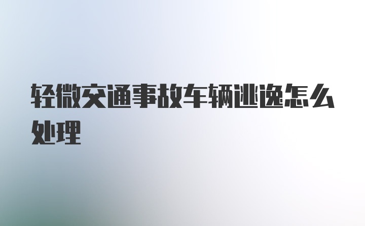 轻微交通事故车辆逃逸怎么处理