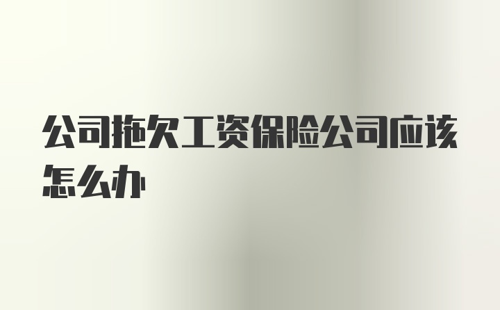 公司拖欠工资保险公司应该怎么办