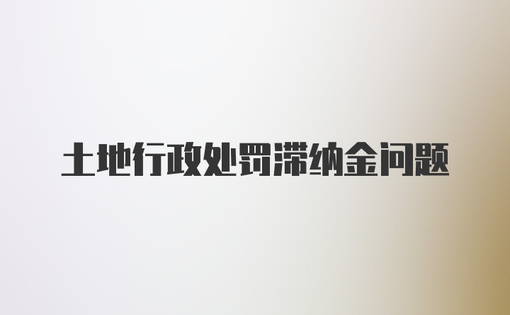 土地行政处罚滞纳金问题