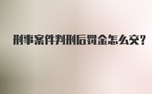 刑事案件判刑后罚金怎么交?