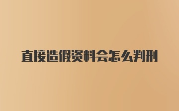 直接造假资料会怎么判刑