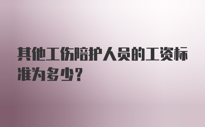 其他工伤陪护人员的工资标准为多少？