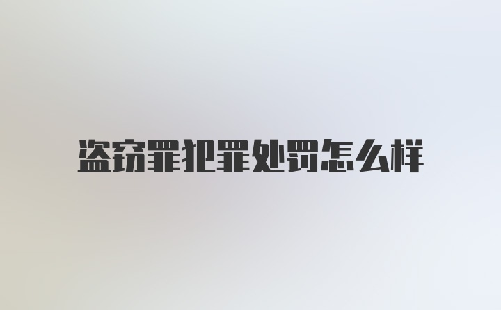 盗窃罪犯罪处罚怎么样