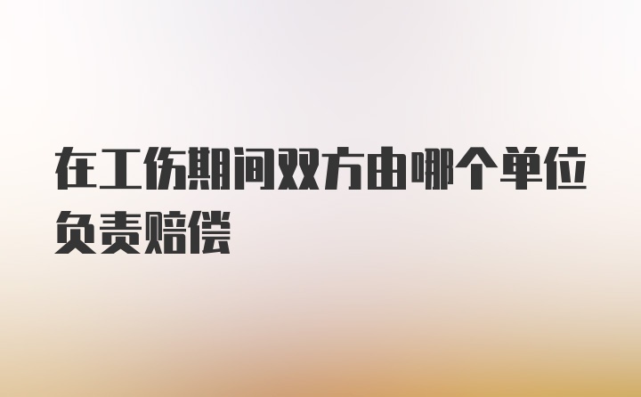 在工伤期间双方由哪个单位负责赔偿