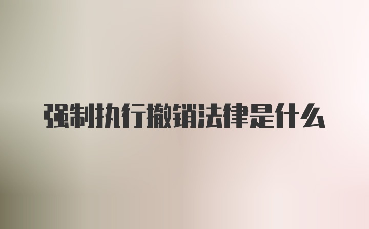 强制执行撤销法律是什么