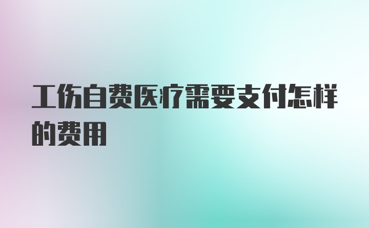 工伤自费医疗需要支付怎样的费用