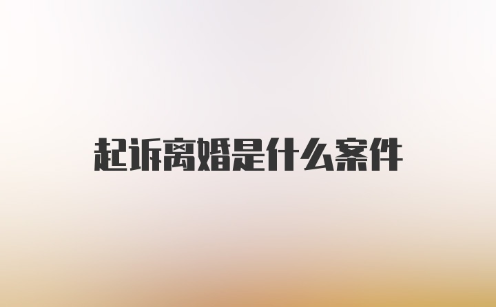 起诉离婚是什么案件