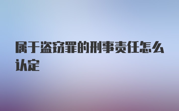 属于盗窃罪的刑事责任怎么认定