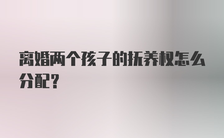 离婚两个孩子的抚养权怎么分配？