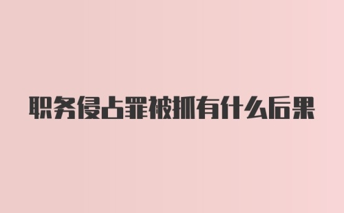 职务侵占罪被抓有什么后果