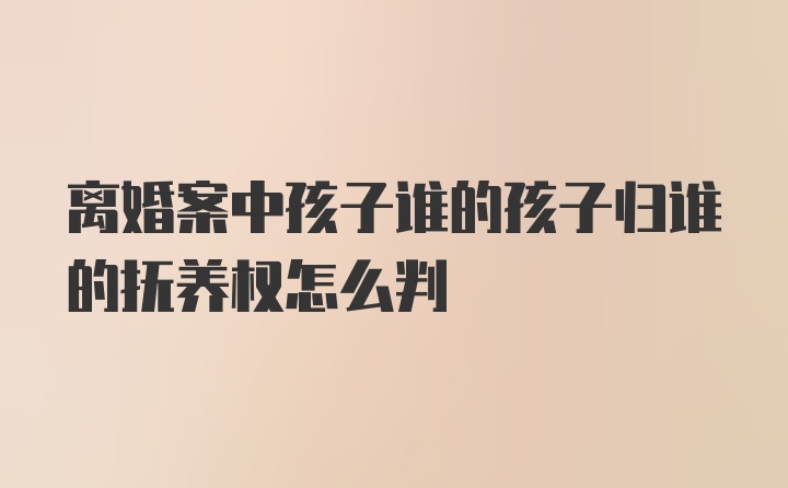 离婚案中孩子谁的孩子归谁的抚养权怎么判