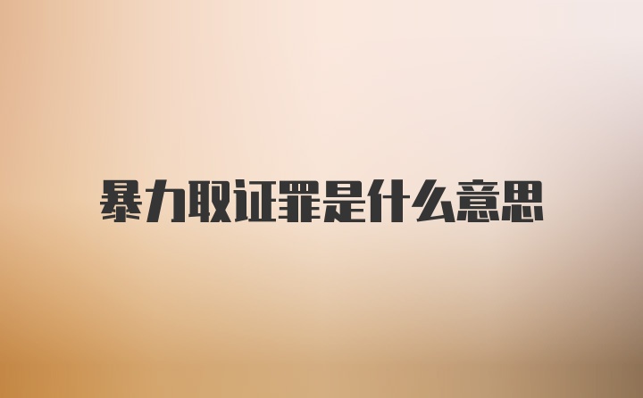 暴力取证罪是什么意思