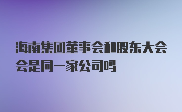 海南集团董事会和股东大会会是同一家公司吗