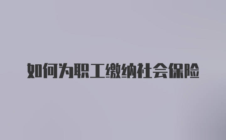 如何为职工缴纳社会保险