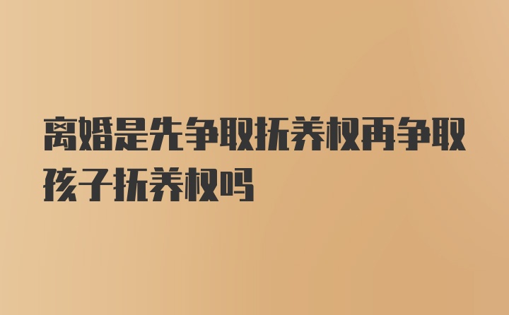 离婚是先争取抚养权再争取孩子抚养权吗