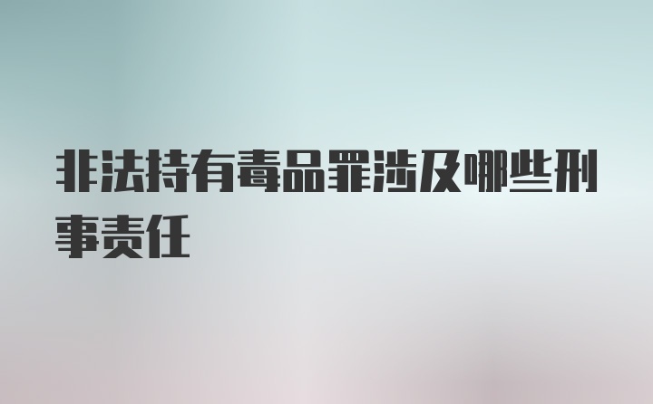 非法持有毒品罪涉及哪些刑事责任