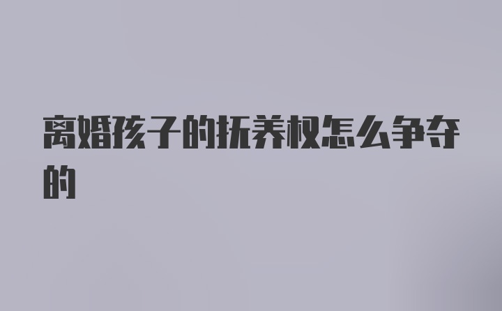 离婚孩子的抚养权怎么争夺的