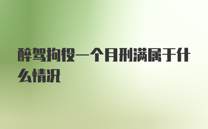 醉驾拘役一个月刑满属于什么情况