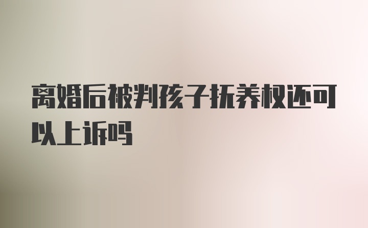 离婚后被判孩子抚养权还可以上诉吗