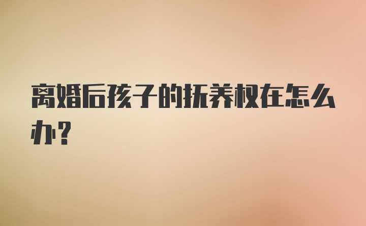 离婚后孩子的抚养权在怎么办？