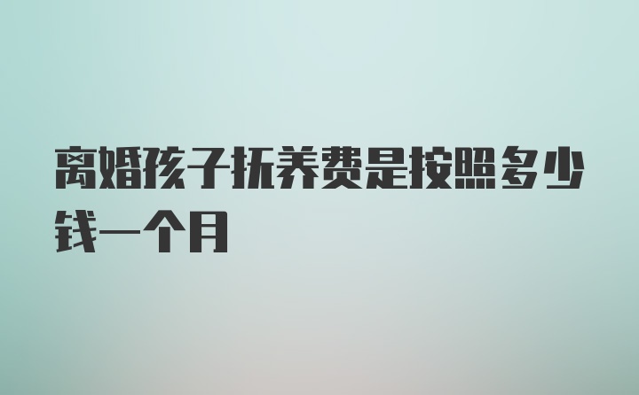 离婚孩子抚养费是按照多少钱一个月