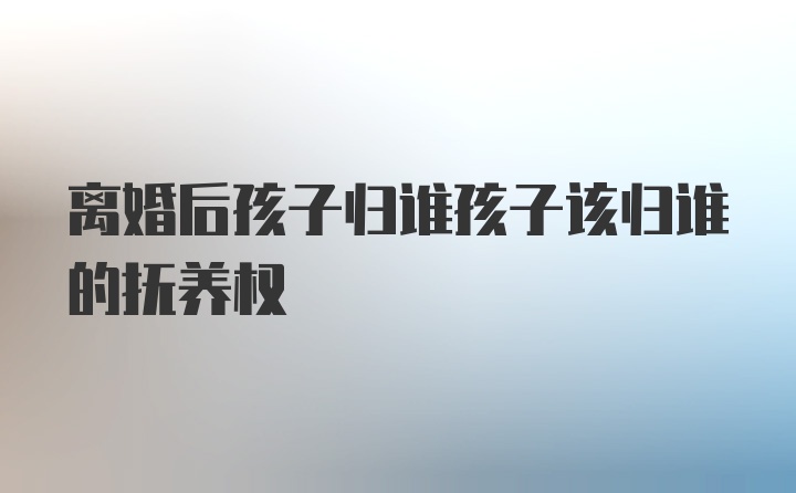 离婚后孩子归谁孩子该归谁的抚养权