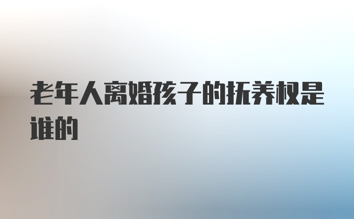 老年人离婚孩子的抚养权是谁的