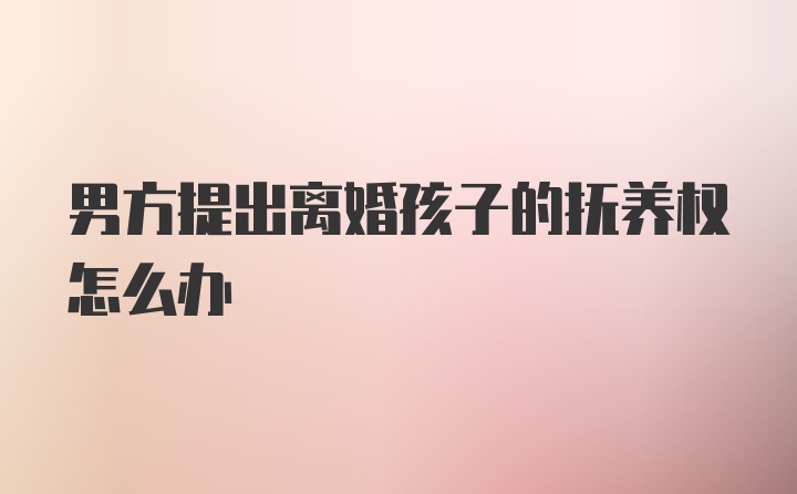 男方提出离婚孩子的抚养权怎么办