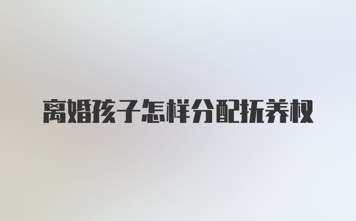 离婚孩子怎样分配抚养权