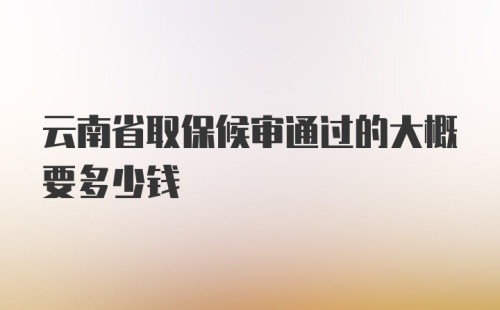 云南省取保候审通过的大概要多少钱