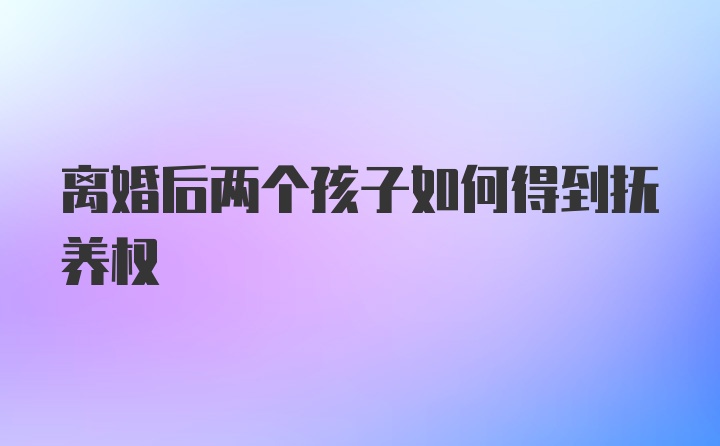 离婚后两个孩子如何得到抚养权