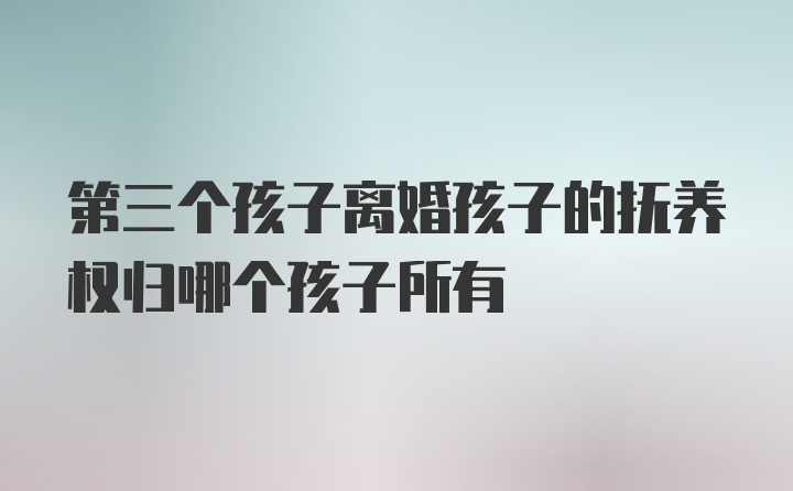 第三个孩子离婚孩子的抚养权归哪个孩子所有