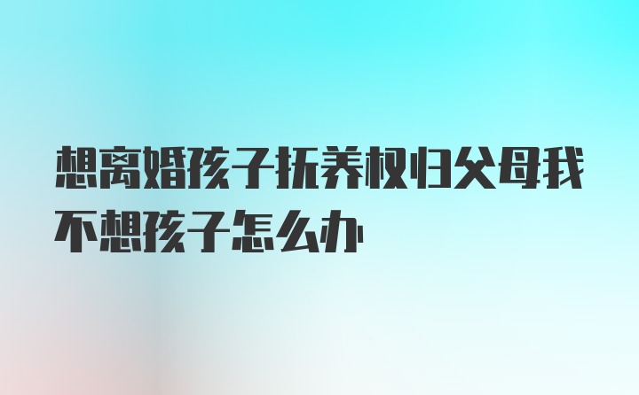 想离婚孩子抚养权归父母我不想孩子怎么办