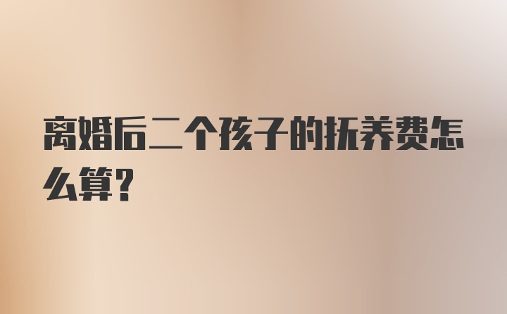 离婚后二个孩子的抚养费怎么算?