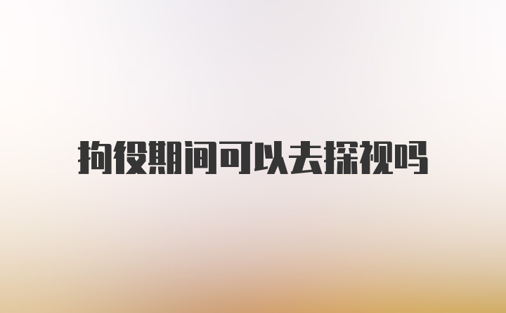 拘役期间可以去探视吗