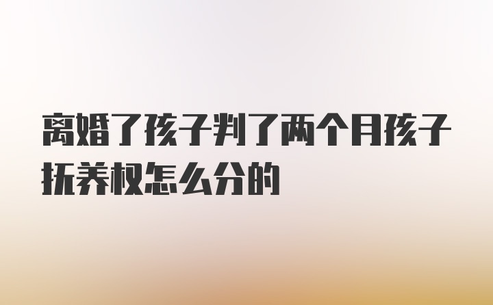 离婚了孩子判了两个月孩子抚养权怎么分的