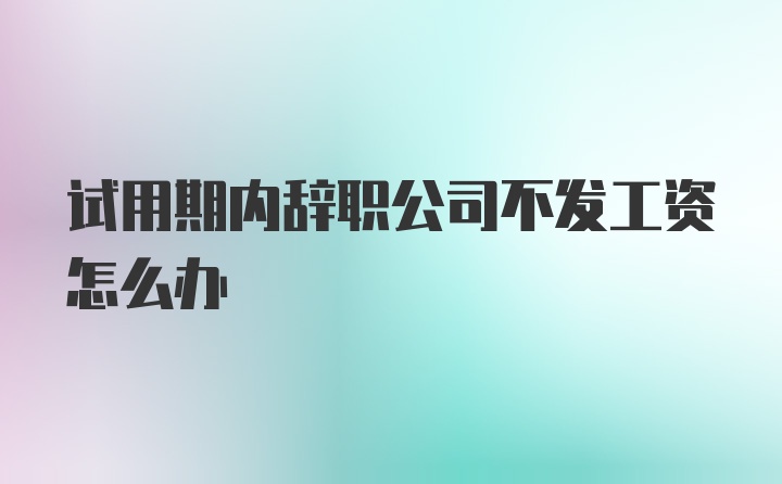 试用期内辞职公司不发工资怎么办