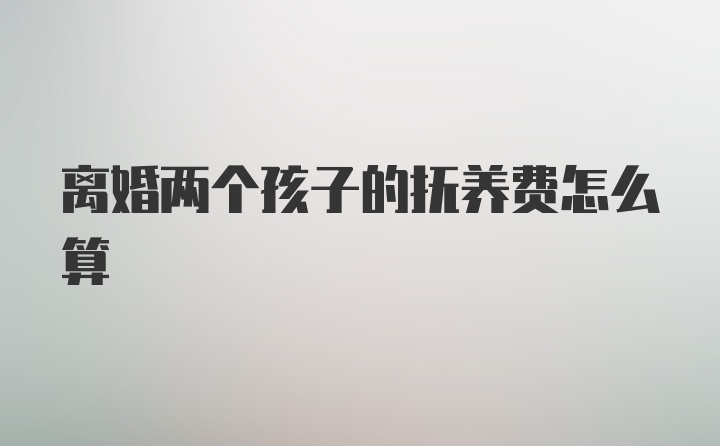 离婚两个孩子的抚养费怎么算