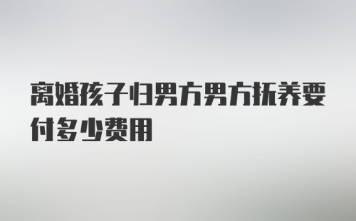 离婚孩子归男方男方抚养要付多少费用