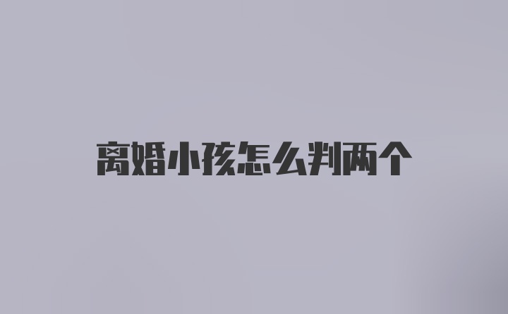 离婚小孩怎么判两个