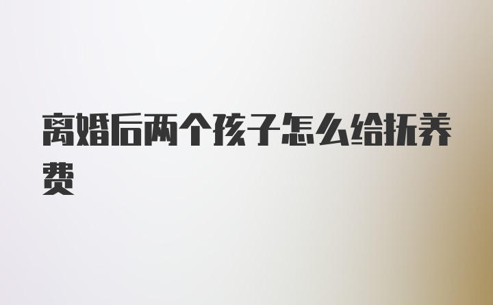 离婚后两个孩子怎么给抚养费