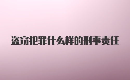 盗窃犯罪什么样的刑事责任