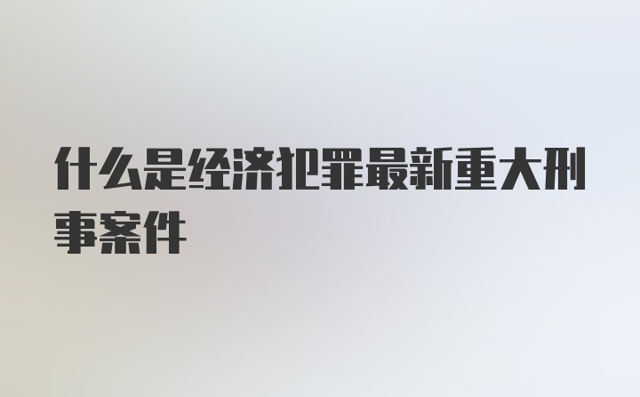 什么是经济犯罪最新重大刑事案件