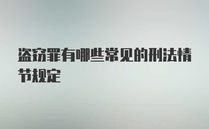 盗窃罪有哪些常见的刑法情节规定