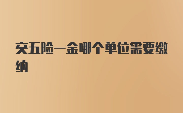 交五险一金哪个单位需要缴纳