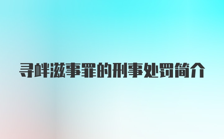 寻衅滋事罪的刑事处罚简介