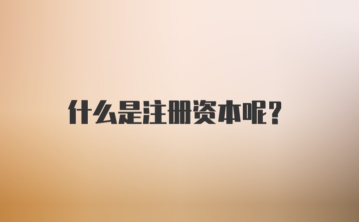 什么是注册资本呢？