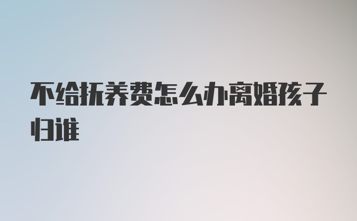 不给抚养费怎么办离婚孩子归谁